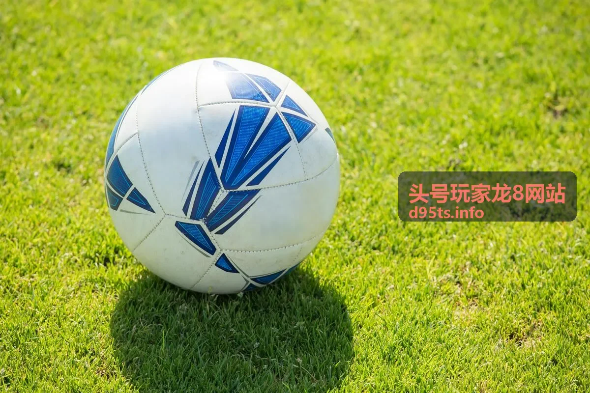 头号玩家龙8网站平台功能展示